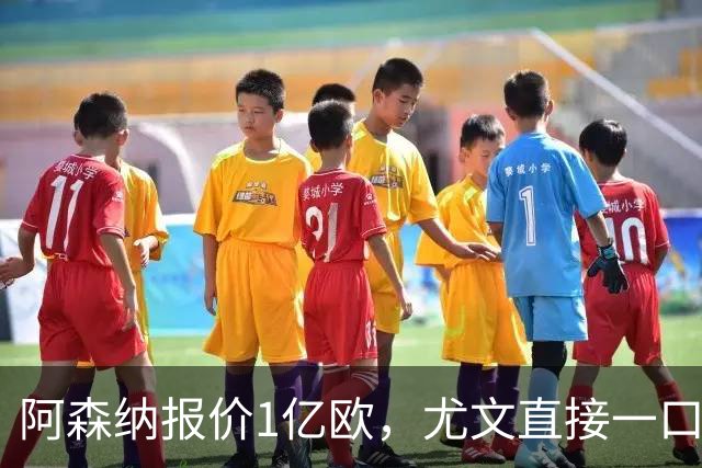 阿森纳报价1亿欧，尤文直接一口回绝，伊尔迪兹成全欧最硬非卖品